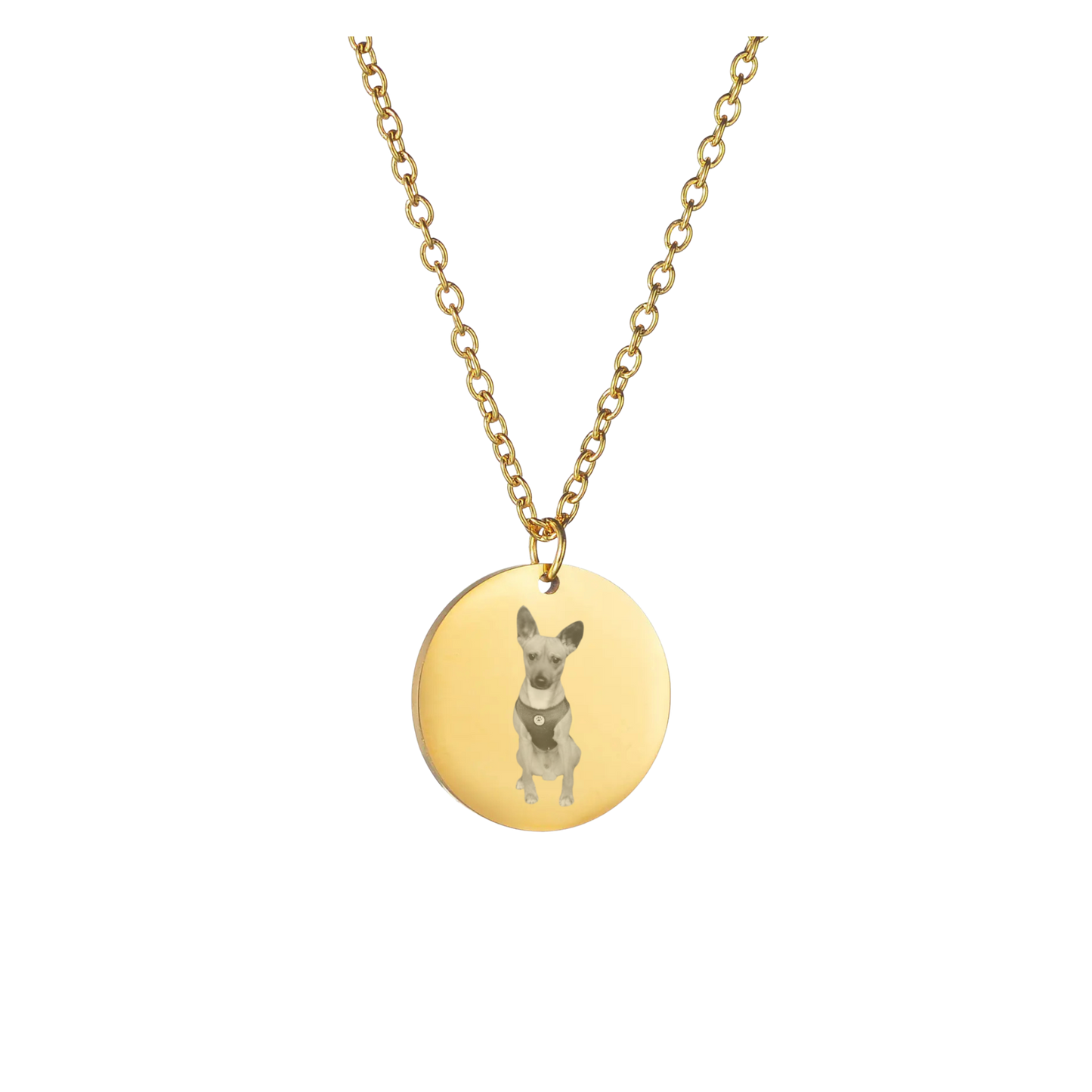 Collana Personalizzata con Pendente Rotondo - Oro e Argento