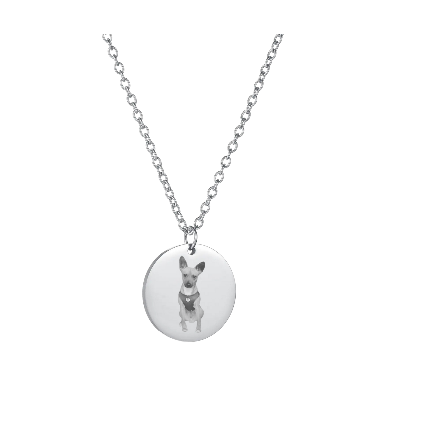 Collana Personalizzata con Pendente Rotondo - Oro e Argento